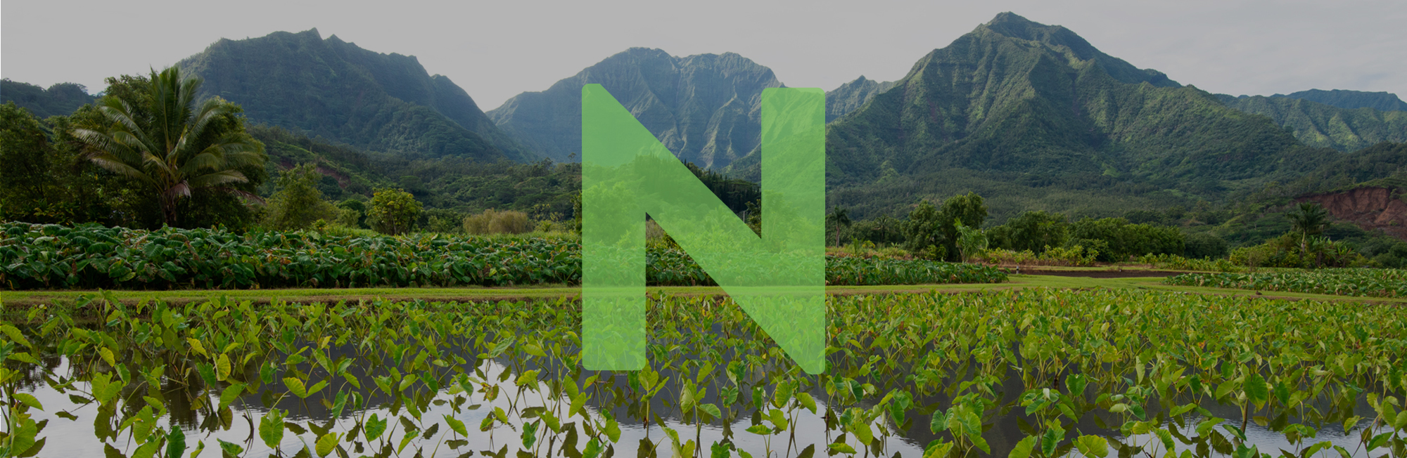 Lush green fields. The letter N appears superimposed.